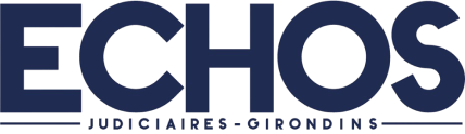 Logo du média Les Echos